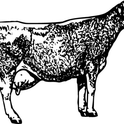 COW034 Thumbnail