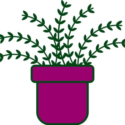 Plant 3 Thumbnail
