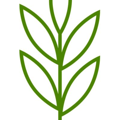 Leaves 4 Thumbnail